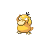 Sprite for psyduck